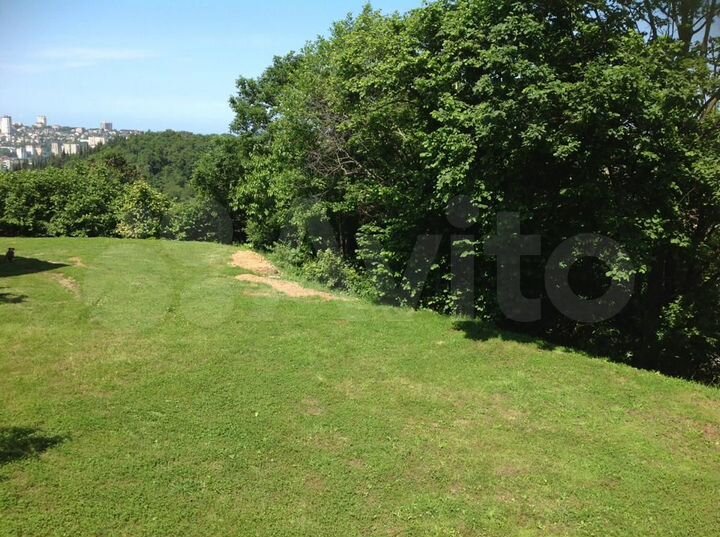 Участок 10,3 сот. (СНТ, ДНП)