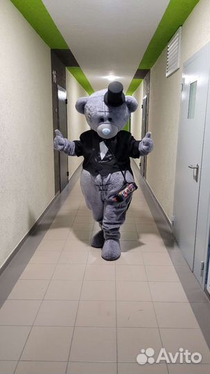 Аренда костюма Мишки Тедди