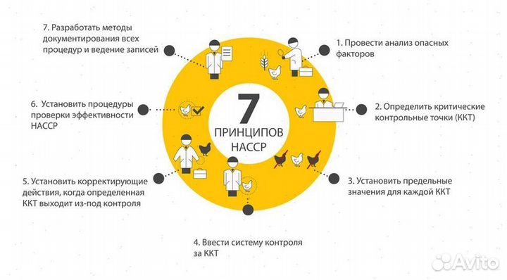 Хассп Разработка xaccp