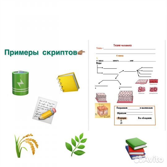 Репетитор по биологии, химии