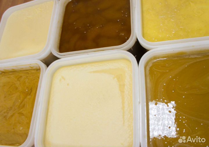 2024 Мед натуральный из Алтая опт