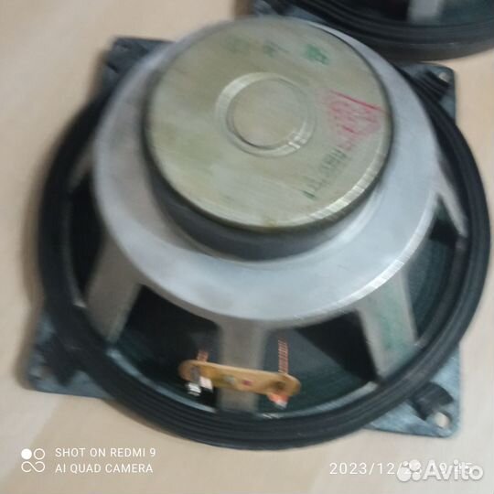 Динамики 10гдш1-4