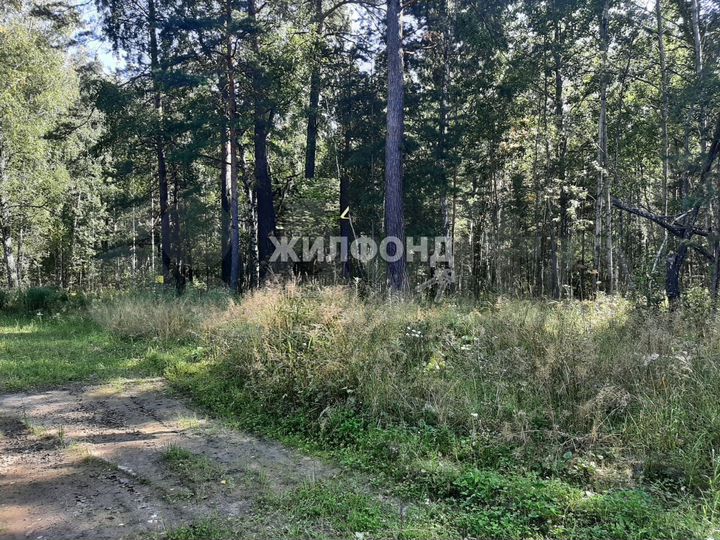 Участок 6,7 га (СНТ, ДНП)