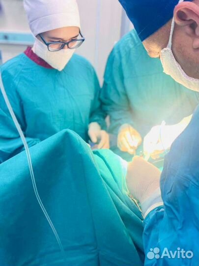 Репетитор по биологии огэ/егэ