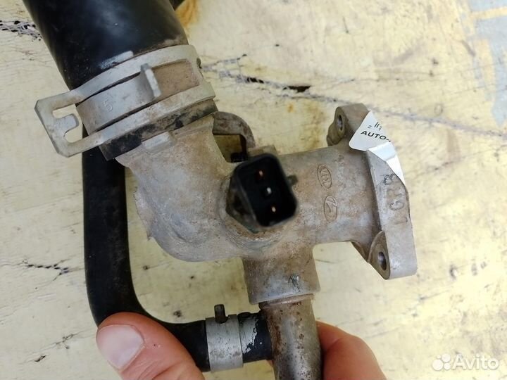 Фланец температуры охладителя Hyundai Solaris 2010+ оригинал