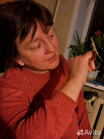 Репетитор по математике