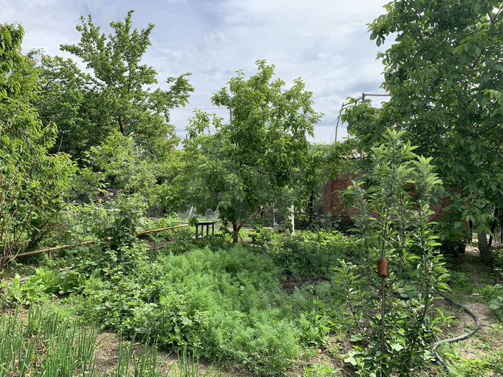 Дача 20 м² на участке 12 сот.