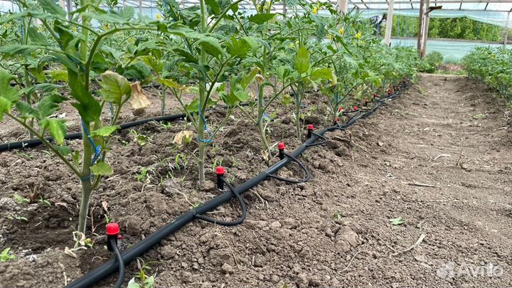 Капельный полив