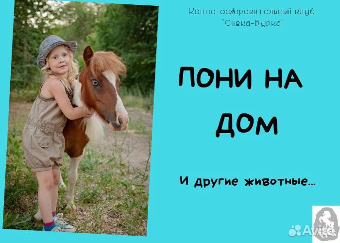 Пони, лошади и единороги на детские праздники