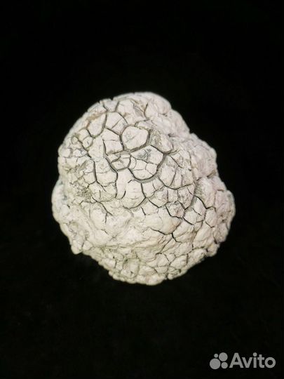 Кахолонг халцедоновый с дендритами марганца