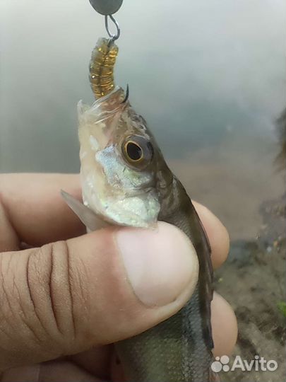 Силиконовые приманки