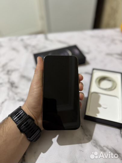 iPhone 12 Pro Max, 256 ГБ