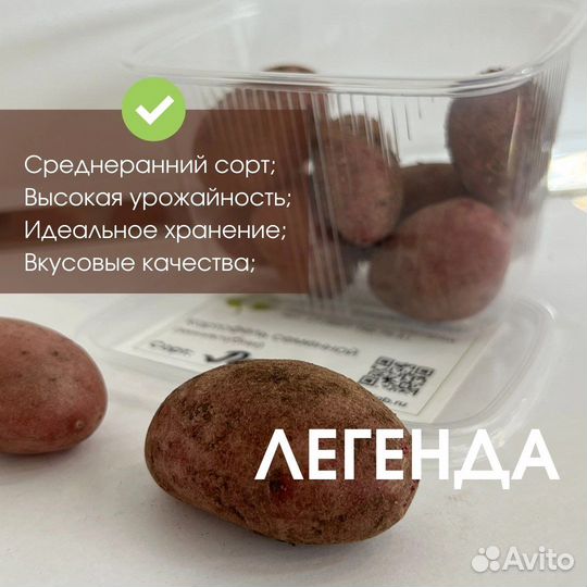 Мини-клубни «Легенда», семенной картофель