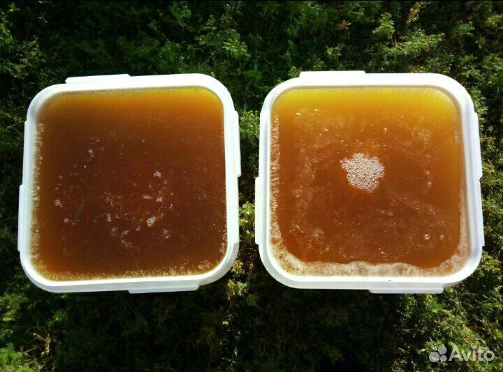 Оптовая продажа меда. Майский