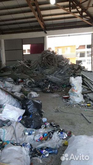 Прием черного и цветного металла.читать