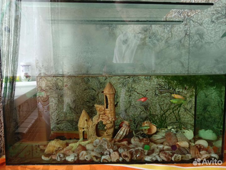 Аквариум с рыбками