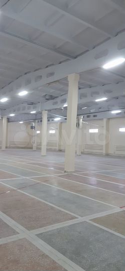 Торговая площадь, 1000 м²