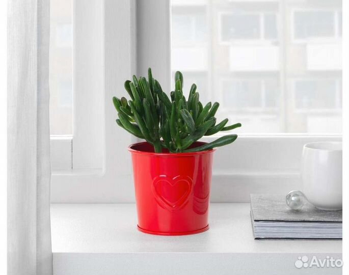 Кашпо Икеа, сувениры