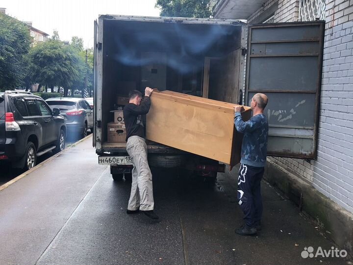 Грузоперевозки Петеогоф Ломоносов СПБ / грузчики