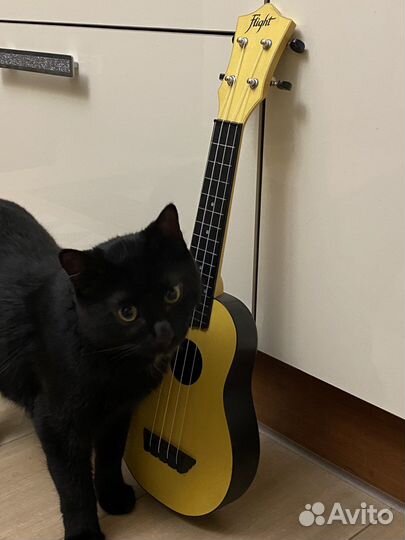 Укулеле flight сопрано