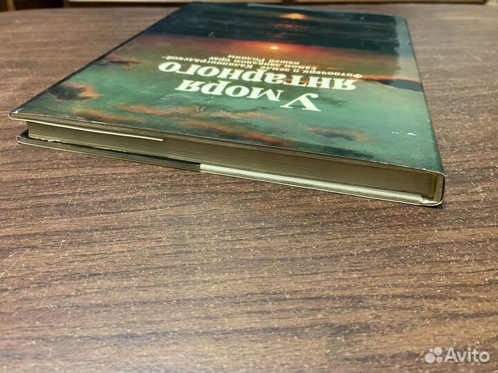 У моря янтарного. Фотоочерк о земле Калининградско