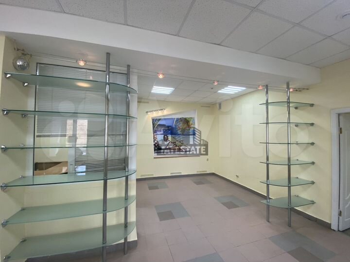 ПСН 53,4 м2 с отдельным входом на Пушкина