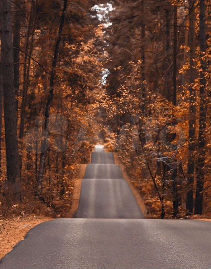 Дача 40 м² на участке 1,5 сот.