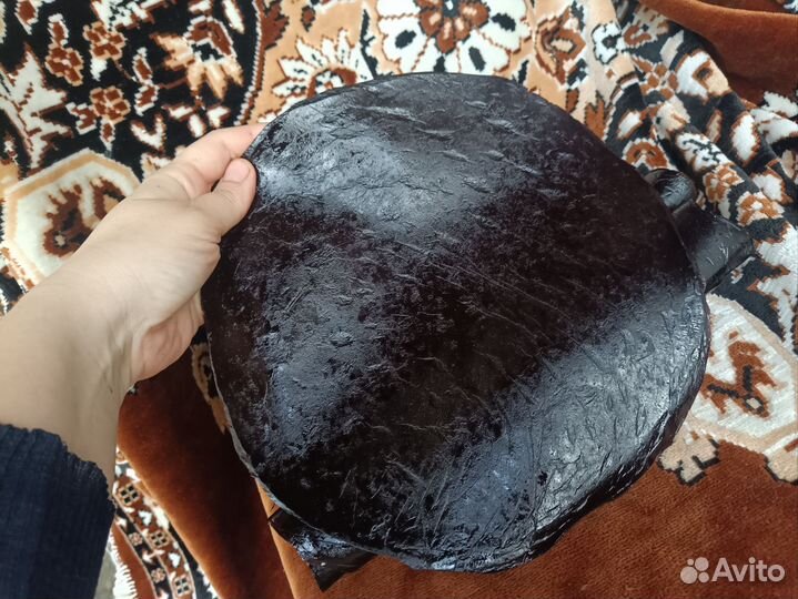 Пастила домашняя, сушка, орехи