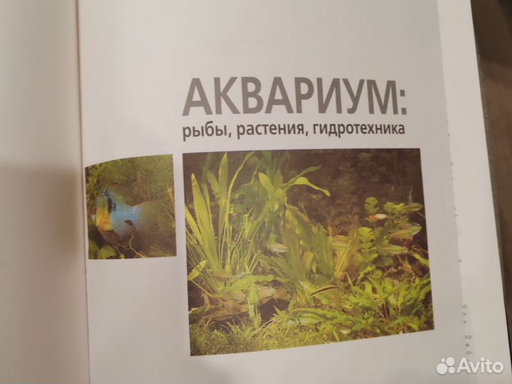 Энциклопедия аквариум