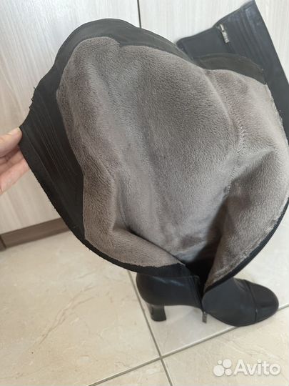 Сапоги женские демисезонные