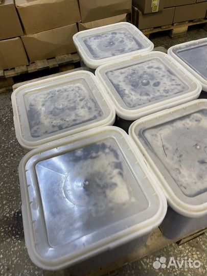 Цветочный свежий мёд только опт