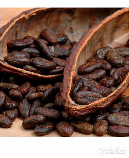 Yodeyma yodeymam9 Вода парфюмерная 15 мл