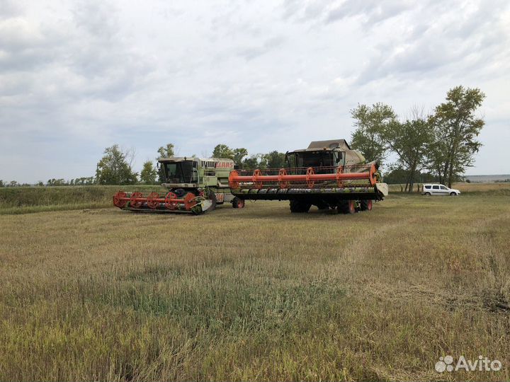 Уборка урожая 2022