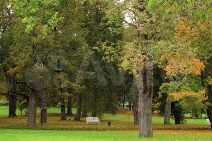 Участок 20 сот. (ИЖС)