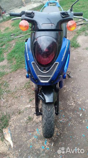 Рейсер Сагита