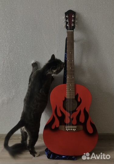 Акустическая гитара