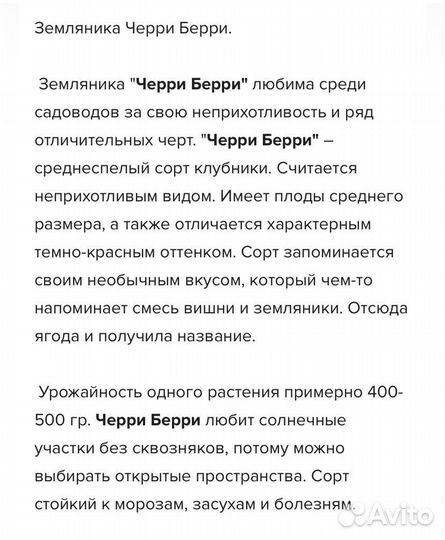 Клубника Черри Берри