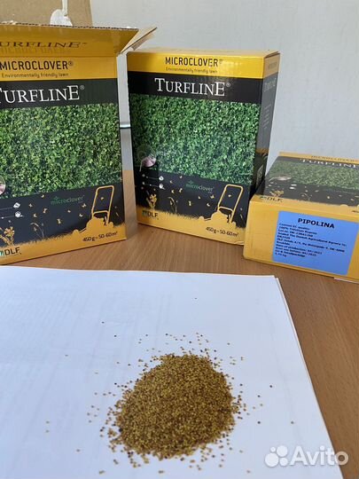 Семена газонной травы