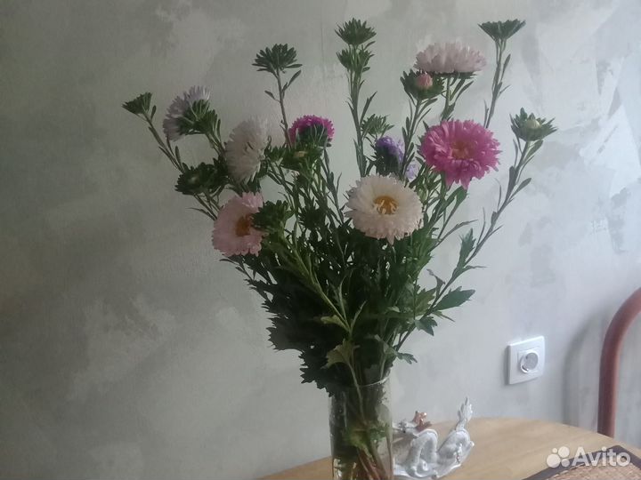 Астра на срез, букеты