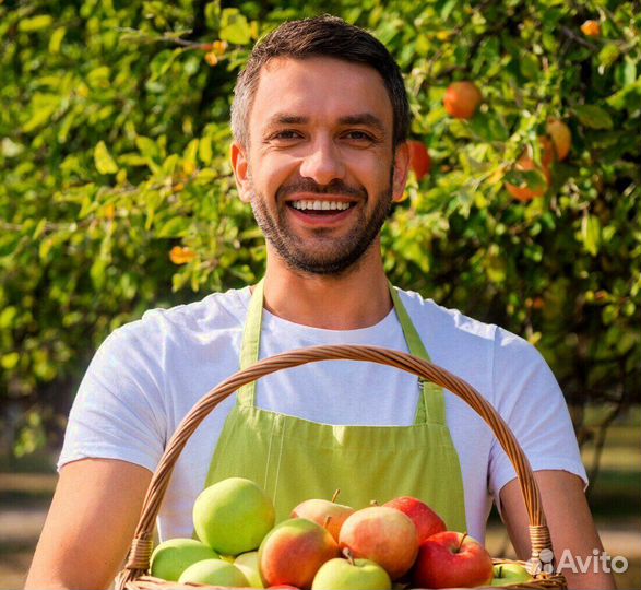 Сборщик. Вахта