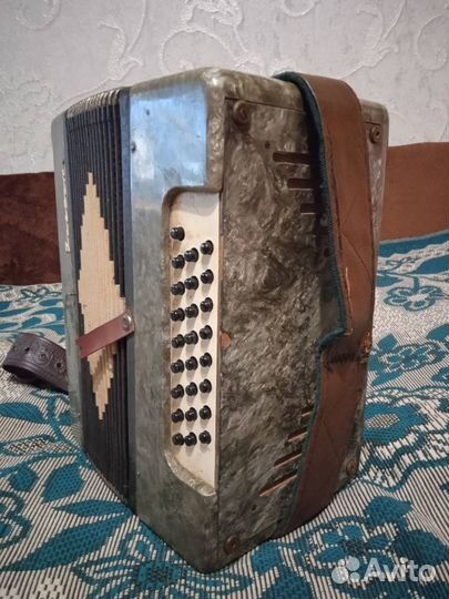 Гармонь. Г. Киров