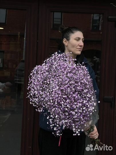 Гипсофила оптом