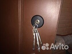 Вскрытие замков входных дверей и авто