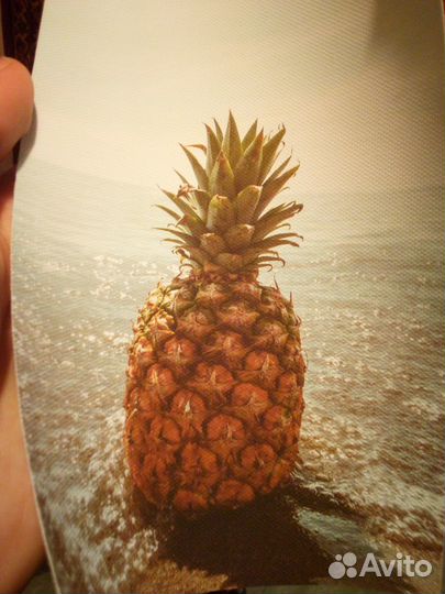 Картина Ананас и Море