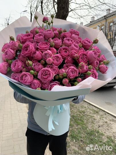 Пионовидная кустовая роза мисти баблз