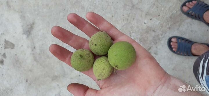 Чёрный орех молотый(зелёный)