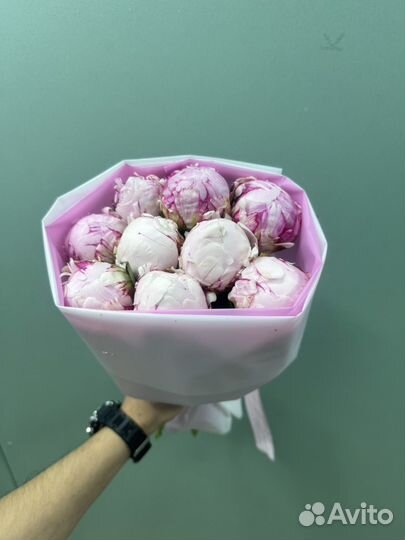 Пионы доставка цветов букеты 9 шт