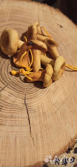 Брелок для ключей