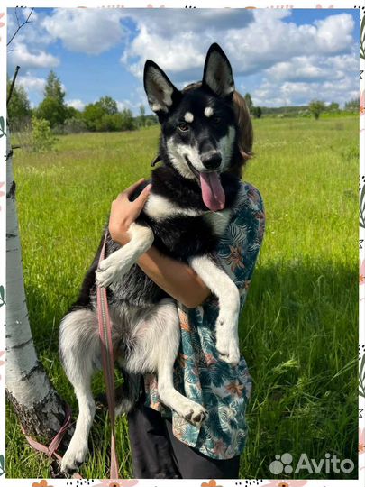 Классная девчонка 7 месяцев