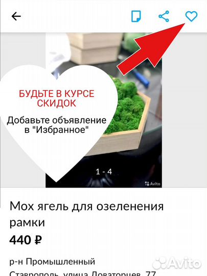 Оформление стен мхом